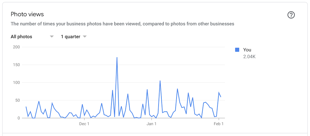 Google My Business Photo Views Example