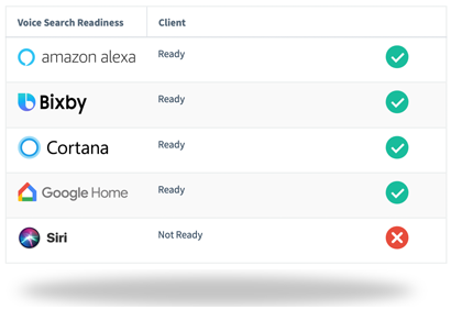 Voice Search Readiness Test