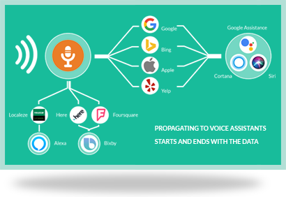 Voice Search Readiness for Local Businesses