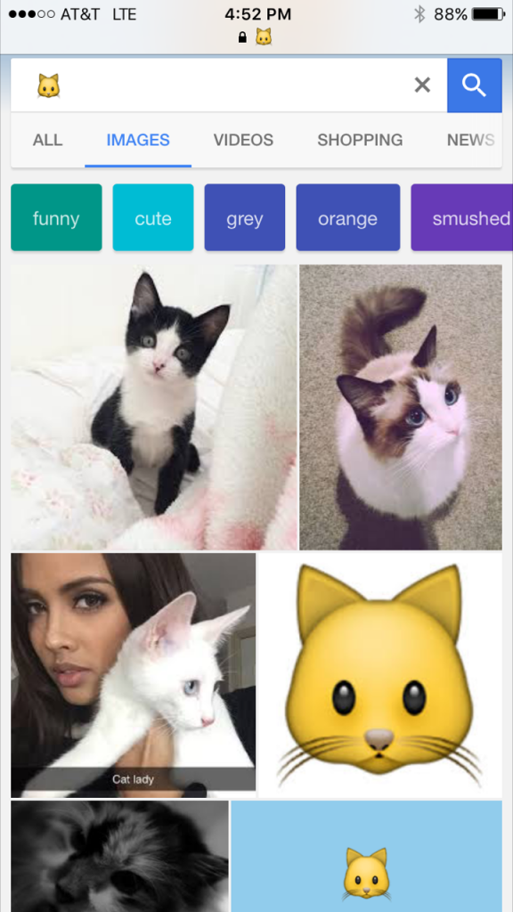 Cat Emoji Google Search Results