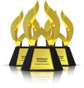 Web Marketing Association’s 2015 WebAward icon